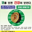 이혈(귀) 상담과 건강관리 이미지