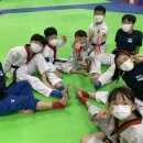 경희대무궁화태권도장 이미지