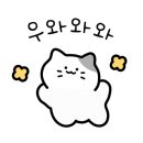 문가네딸기