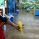 새들목장 이미지