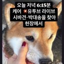 동물보호단체 &#34;학대 정황 견주·개 분리 조치 필요해&#34; 이미지