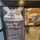 청도 청도맛집 와촌 재첩 손칼국시