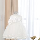 썬플라워 이미지