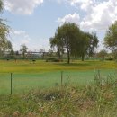 42호공원 이미지