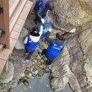 다대2동-10 이미지