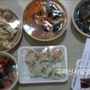 도안반점 이미지