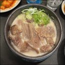 설곰탕 이미지