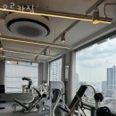 오르카짐 이미지