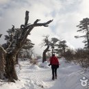 오투펜션민박 이미지