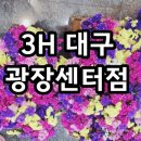 3H 대구광장센터 이미지