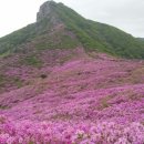 제일문화