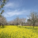 우리꽃식물원 이미지