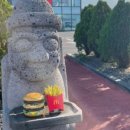 위더스 펫 이미지