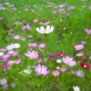 대송공원 이미지