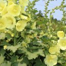 유곡농장 이미지