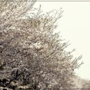 움직일 시간 이미지