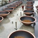 화련회관 이미지