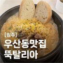 뚝탈리아 이미지