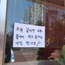 콩이묘묘 | 2025 6월 일상 첫번째 모음.zip