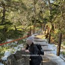 난타(오전) | [등산] 11월 제주도 한라산 성판악 코스 | (feat. 등정 인정서, 숙소 호텔난타)