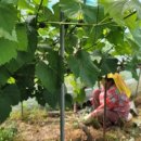 새참하우스 이미지