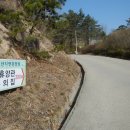 제219차,정기산행,,충남,홍성,용봉산(龍峰山369m)5월24일 이미지