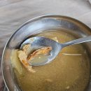 느티나무식당 | 내돈내산) 거제 현지인 로컬 맛집 &#39;느티나무식당&#39; 솔직 후기