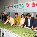 동부농협지정지점 뉴시스