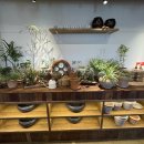 복남이네 꽁당보리밥 이미지