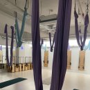 오산시 건강증진센터 | 오산 플라잉요가 입문자가 작성하는 [에이엠필라테스&amp;플라잉요가 오산시청점] 몸 변화 솔직후기