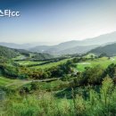 스타CC(회원제) 이미지