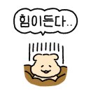 개암벌 용소 관광농원 캠핑장 이미지