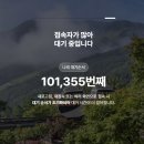 숲PC | 화담숲 예약 실패 후기 21만명 대기