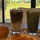 숲을 그리다 이미지