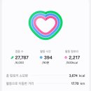 대륙카서비스 | 시안 자유여행 (2)ㅡ 중국 5대악산 시안 화산 후기 (시내에서 가는법, 추천 코스, 입장권,케이블카 구매...