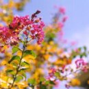 다인중학교 이미지