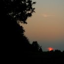 참다운농장 이미지