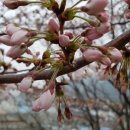 동서공원 이미지