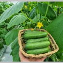 깊은내농장 이미지