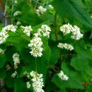 건제약국 이미지