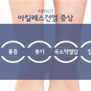 정마취통증의학과 - 동구 용운로 165 | 정마취통증의학과