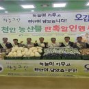 동천안농협 하나로마트 이미지