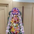(주)오에스팜 이미지