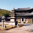 달빛별빛 이미지