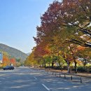 물문화관 이미지