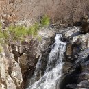 상부상회 이미지