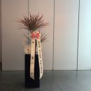 레인보우디자인 이미지