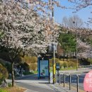 효성해링턴 시니어클럽 이미지