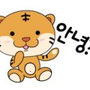 영타이거