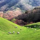 구주목장 이미지